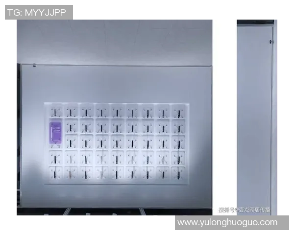 姚明系统门窗引领家居新风尚打造舒适安全的生活空间